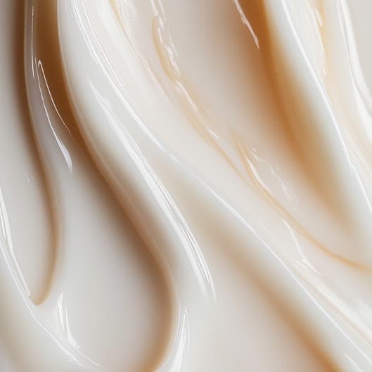 The Essential Member at HD Wellness in Rosedale, MD